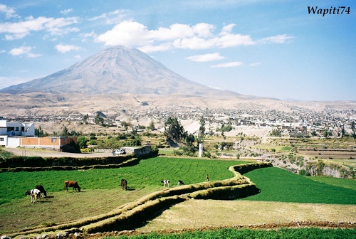 arequipa campina