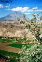 arequipa-cayma.jpg