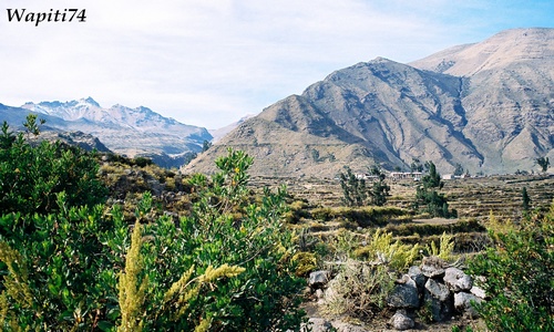 Cabanaconde