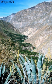 colca canon