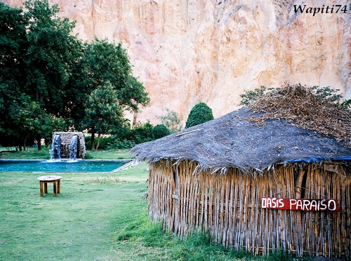 Colca Oasis