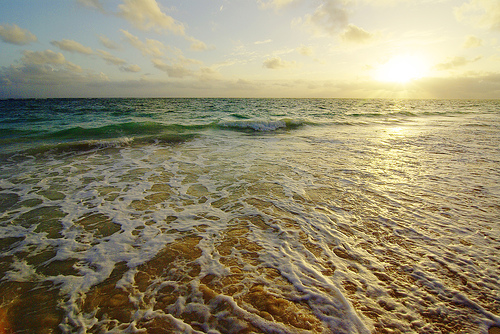voyage punta cana