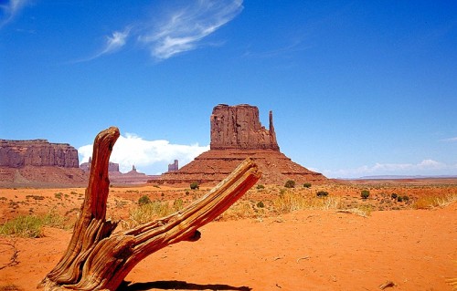 Nature Etats Unis